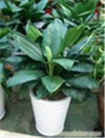 可靠的工厂打扫公司就选越发物业 | 江苏写字楼打扫专业服务